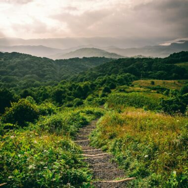 A path through the mountains with a cloudy sky
