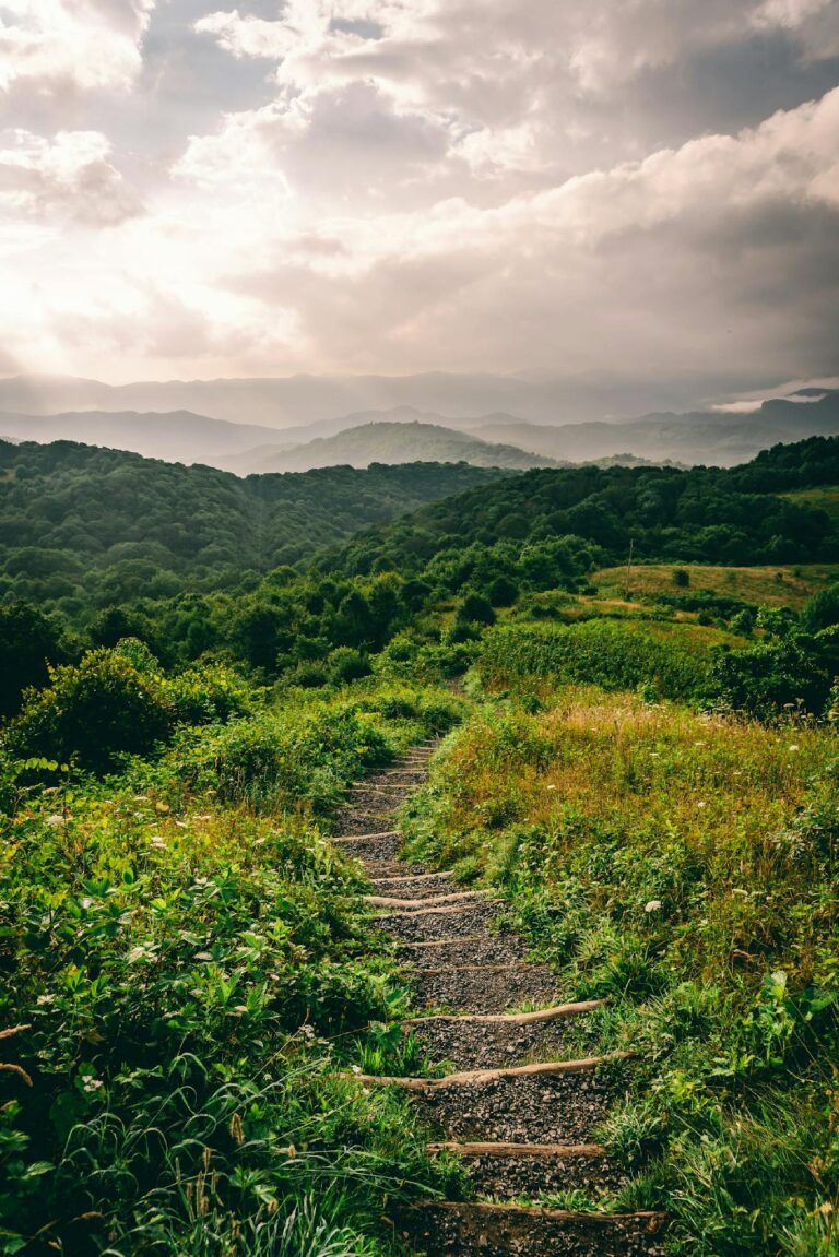 A path through the mountains with a cloudy sky