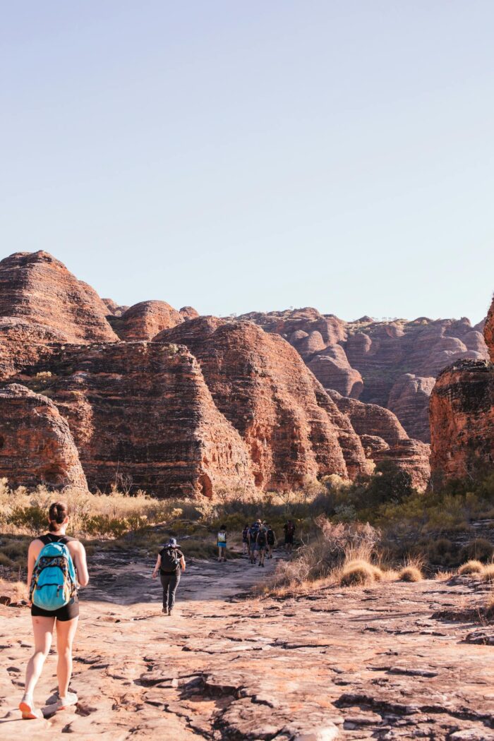 Back view group of anonymous hikers walking on dry terrain near Bungle Bungle range in Purnululu National Park on sunny day